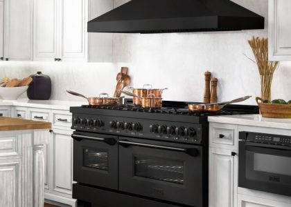 Explore the inner workings of gas ovens